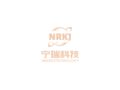 宁瑞科技
